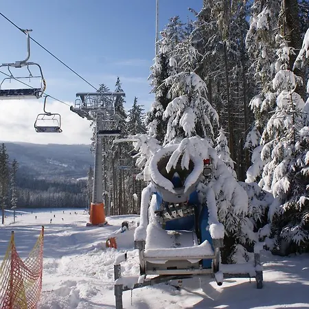 Apartment U Machacku - Lipno