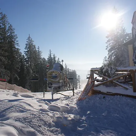 U Machacku - Lipno * Lipno nad Vltavou