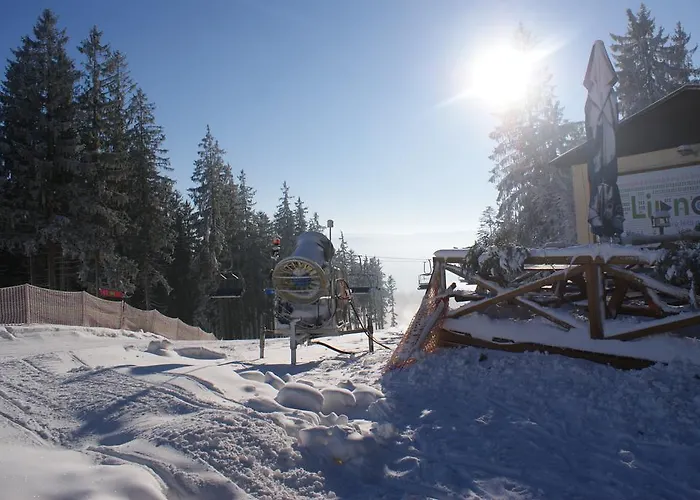U Machacku - Lipno * Lipno nad Vltavou
